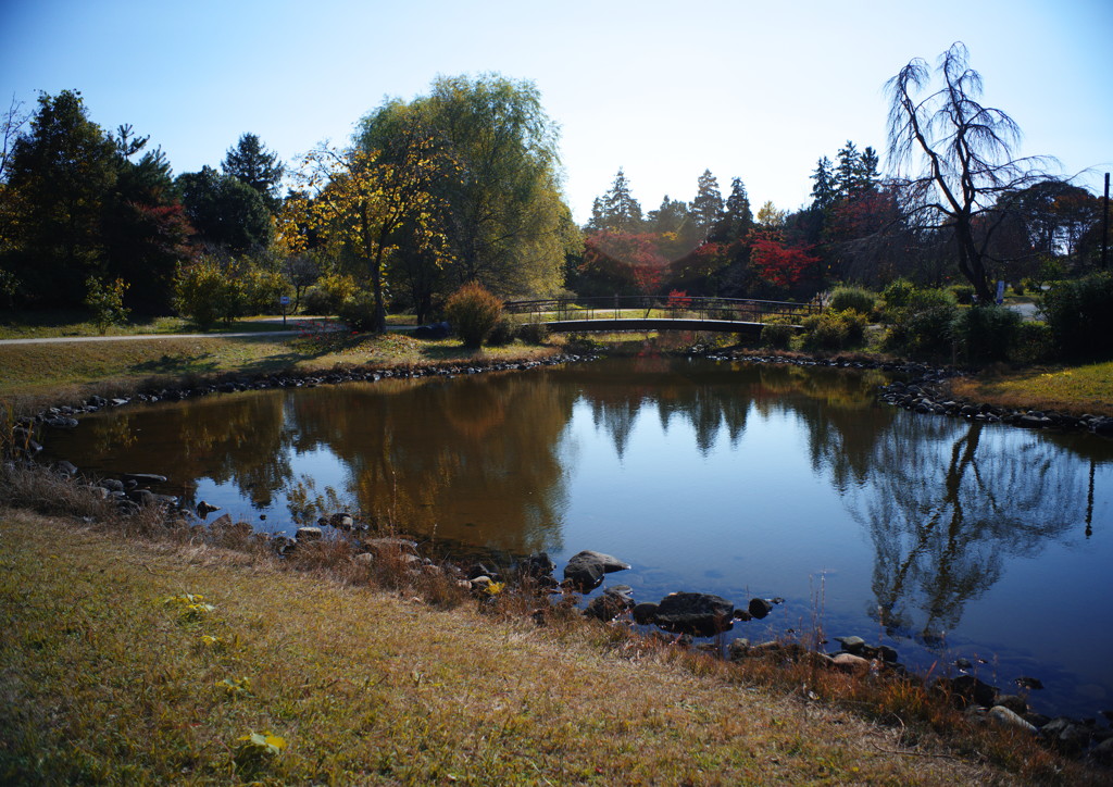 千秋楽　昭和記念公園