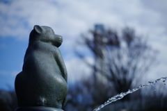 初春　お猿さんかな？