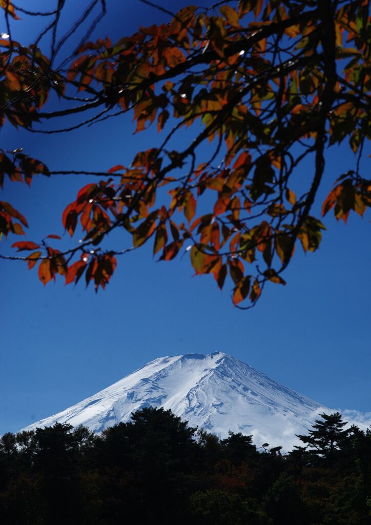 富士山