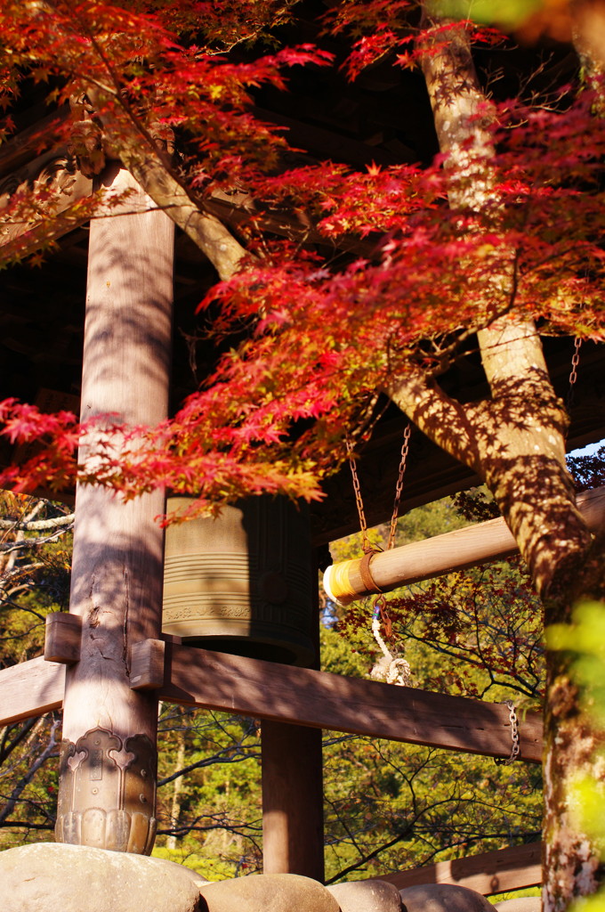 旅写真　修善寺
