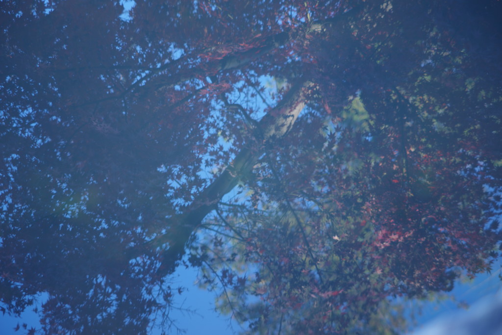 短日　水鏡　Ⅱ