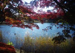 千秋楽　昭和記念公園