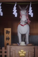 初春　御神馬