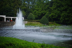 OLD LENS　県立相模原公園