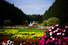 OLD LENS　県立相模原公園　Ⅱ