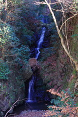 冬を探して　茅倉の滝