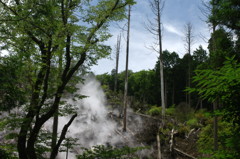 旅写真　大涌谷