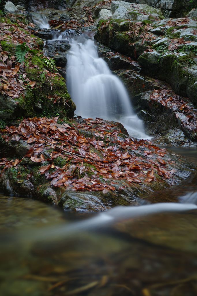 寒冷　払沢の滝　Ⅱ
