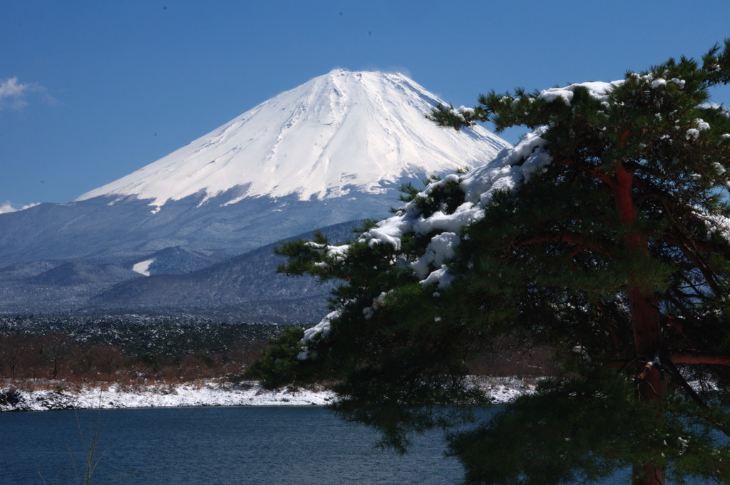 旅写真　精進湖より　Ⅱ