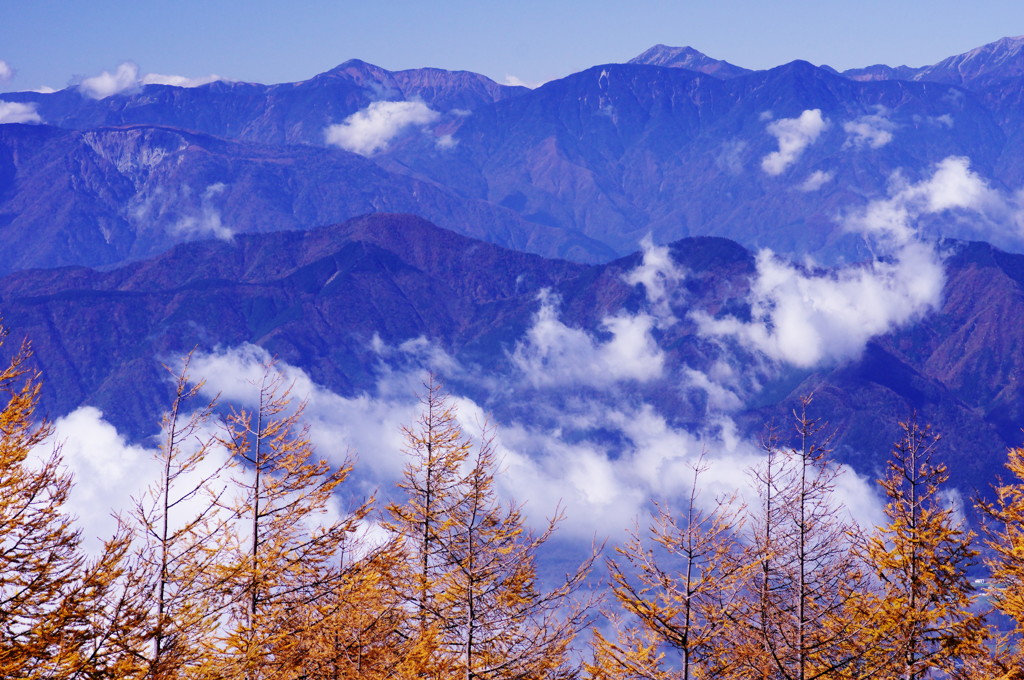 秋を探して　南アルプス連峰