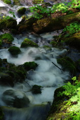 旅写真　長野・冠水渓　Ⅲ