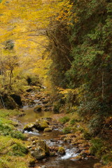秋を探して　秋川渓谷　Ⅲ
