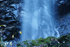 冬を探して　払沢の滝　Ⅱ