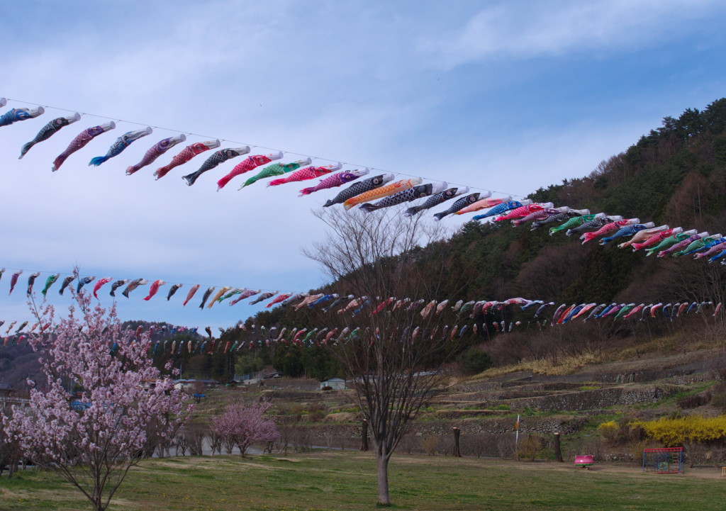 旅写真　清里