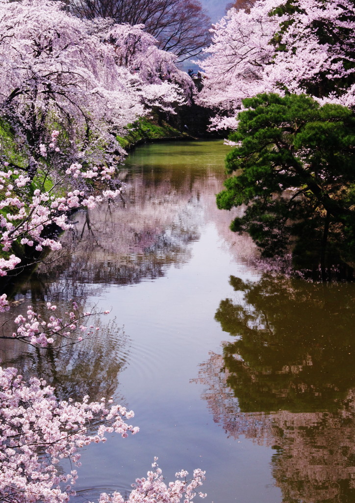 旅写真　上田城　Ⅱ