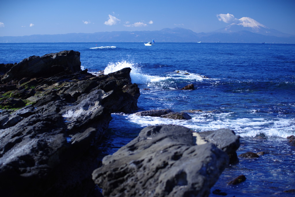 富士をバックに　城ヶ島岩場　Ⅲ