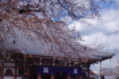 OLDLENS 池上本門寺本堂