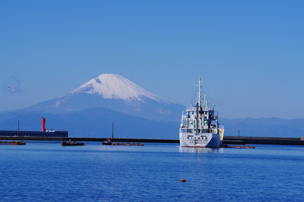 富士をバックに　三崎港