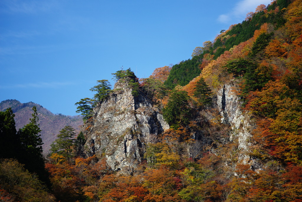 千秋楽　中津峡　Ⅱ