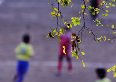 秋を探して　スポーツ広場