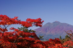 旅写真　弘前城　Ⅱ