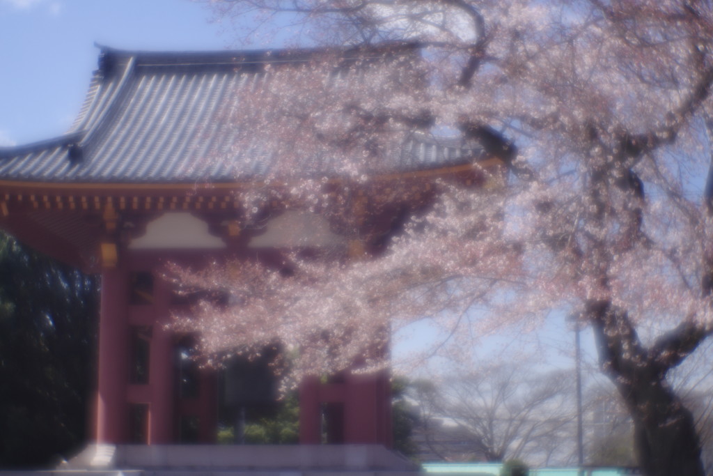 OLDLENS  池上本門寺鐘楼