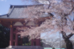 OLDLENS  池上本門寺鐘楼