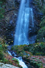 冬を探して　払沢の滝