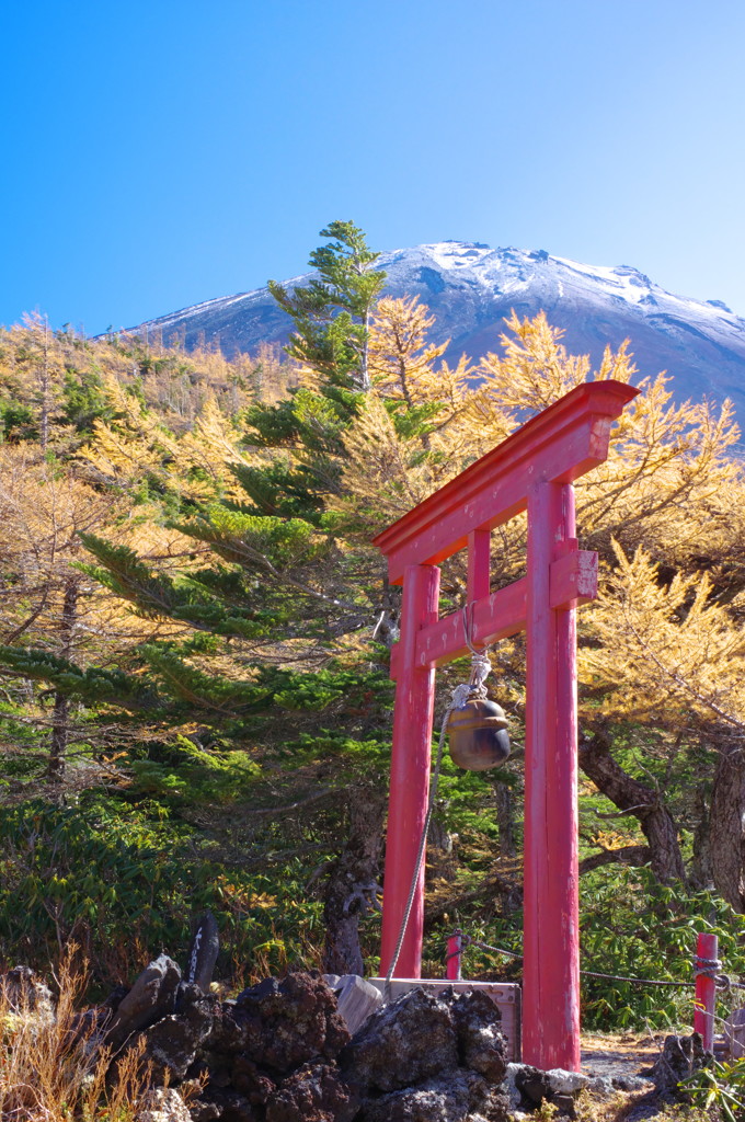秋を探して　富士山・奥庭