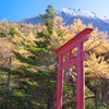 秋を探して　富士山・奥庭