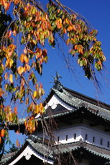 旅写真　弘前城　Ⅱ