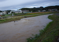 OLD LENS  台風一過