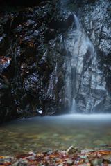 寒冷　竜神の滝（檜原村）