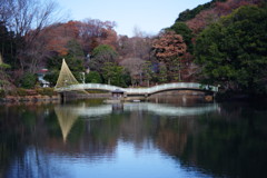 OLD LENS  町田薬師池公園