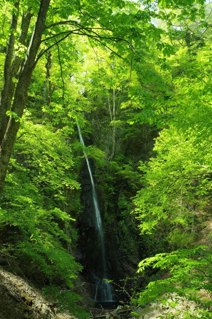 旅写真　白糸の滝