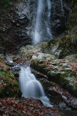 寒冷　払沢の滝