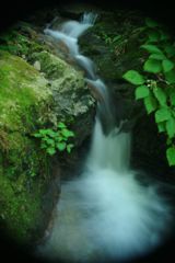 初秋　払沢の滝