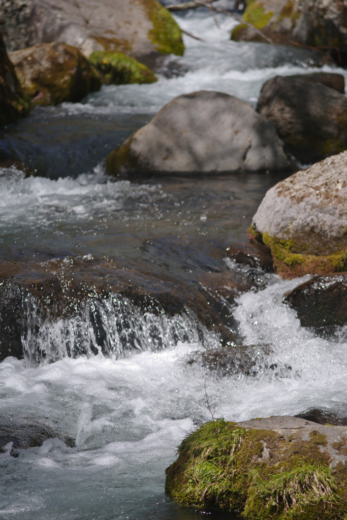 春色　流れ　Ⅱ