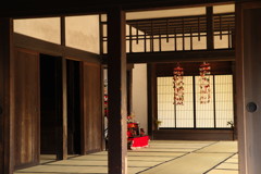 春を探して　お雛様　Ⅱ