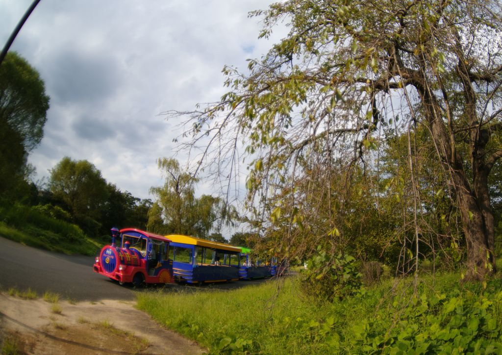 行秋　昭和記念公園