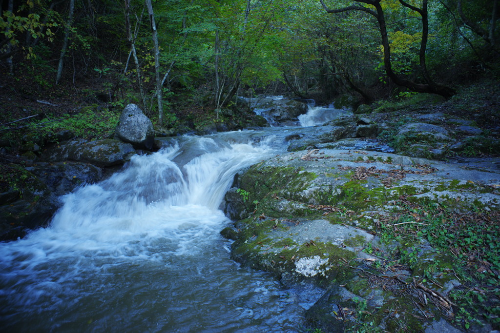 OLD LENS  柳沢川　Ⅱ