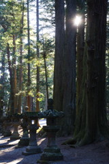 旅写真　富士浅間神社　Ⅱ