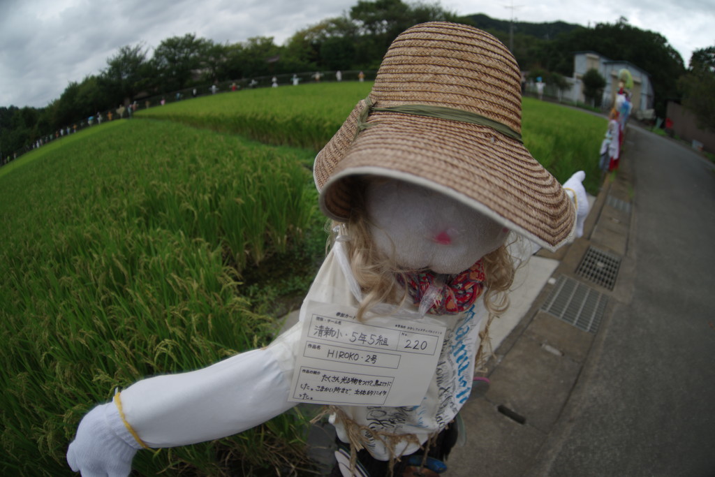 初秋　かかし