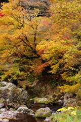 秋を探して　秋川渓谷　Ⅱ