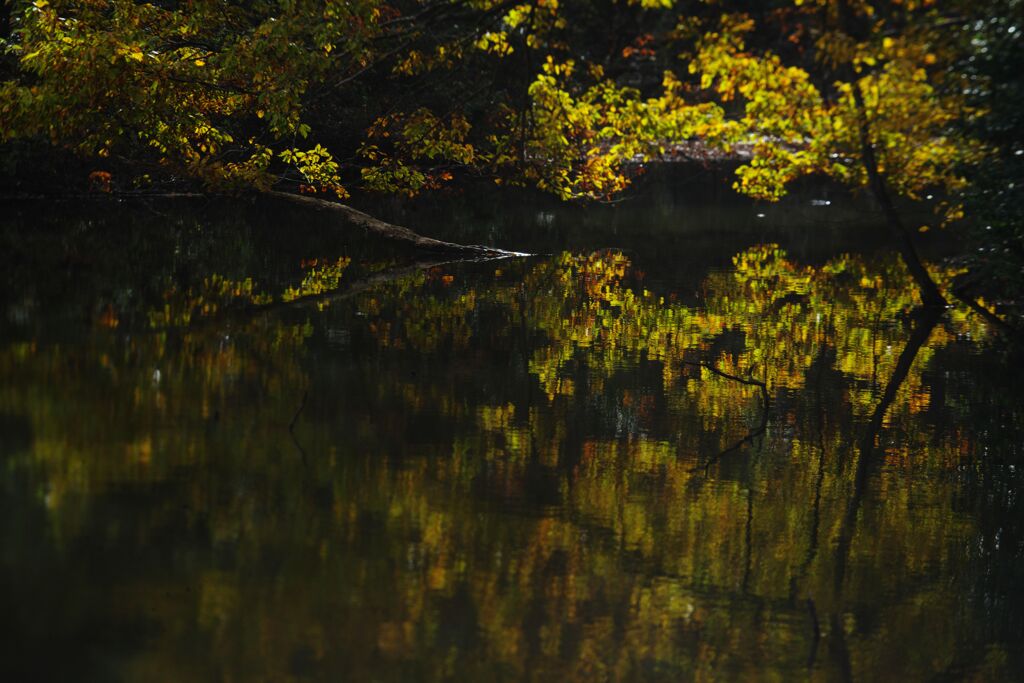 落日　近所の公園