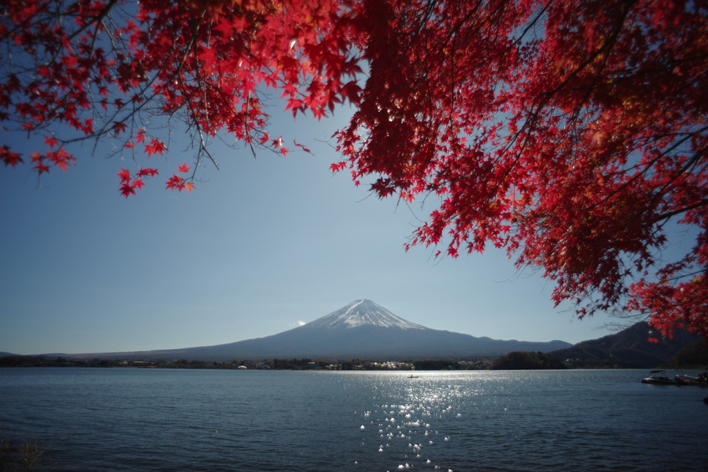 OLD LENS  名峰