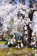 春暖　パークトレイン