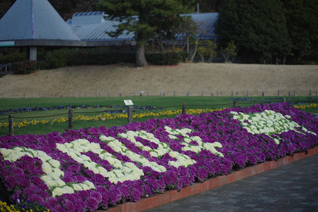 初春　十三月　Ⅱ