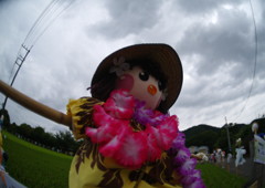 初秋　かかし　Ⅱ