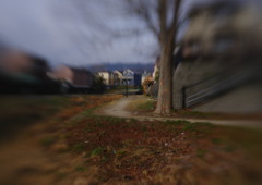 OLD LENS  散歩コース